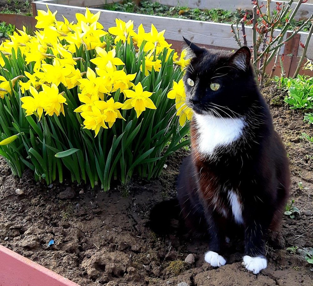 Фотография автора Ирина Лукьянчик