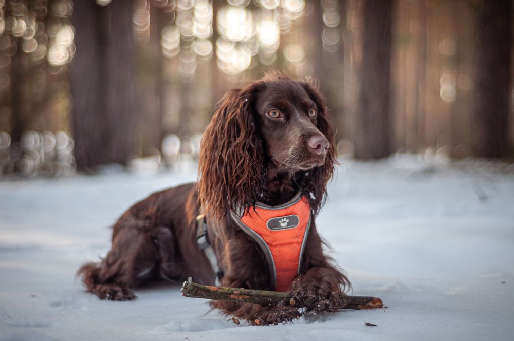 Photograph by Динара Зуйкова