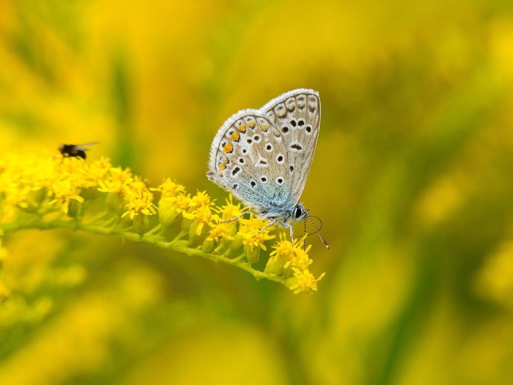 Photograph by 