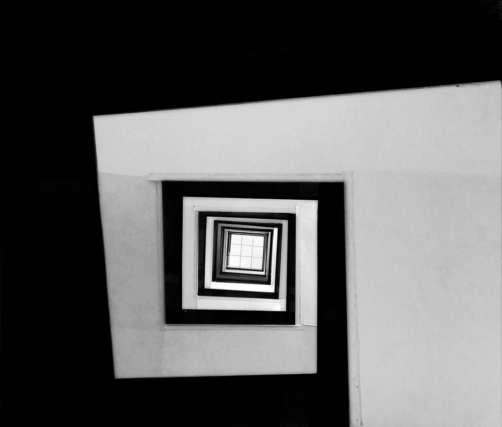 Photograph by Neda Kazemifard