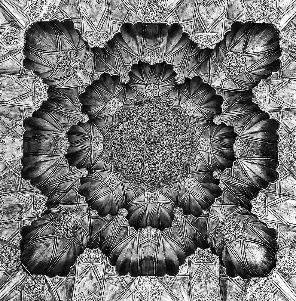 Photograph by Neda Kazemifard