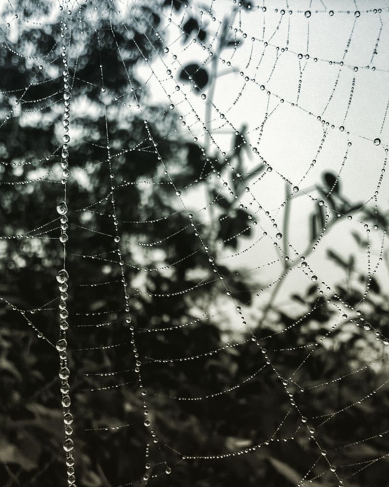 Photograph by Utkarsh Patil