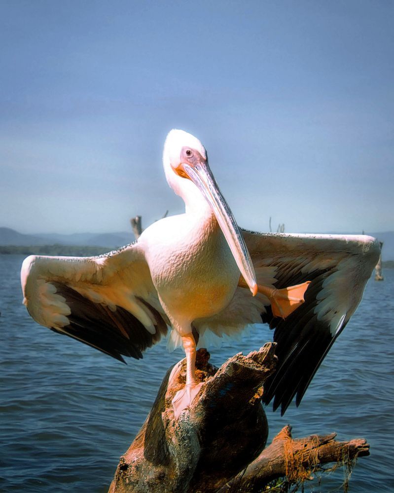 Photograph by Epp Tappel