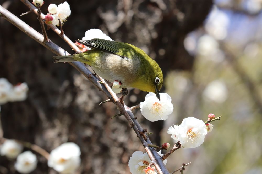 Photograph by Se Lena