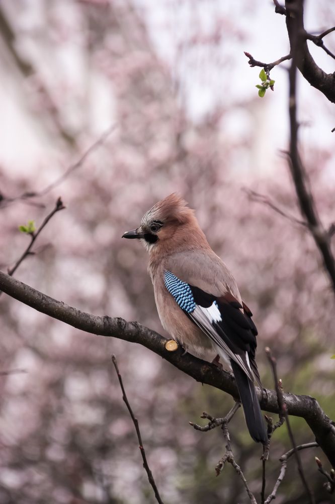 Photograph by Alena Vaganova