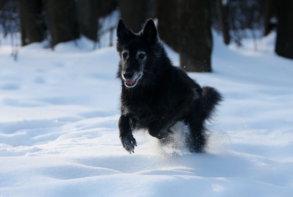 Фотография автора Надежда Лисицына