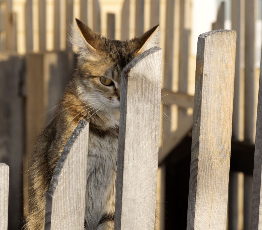 Photograph by Эльвира Быкова