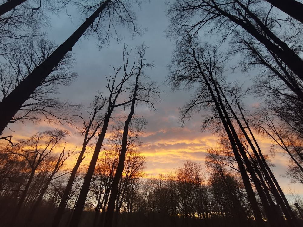 Багряный закат! Crimson sunset!