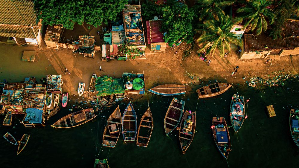 Фотография автора Adriano Anderson