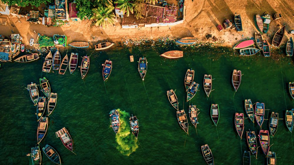 Фотография автора Adriano Anderson