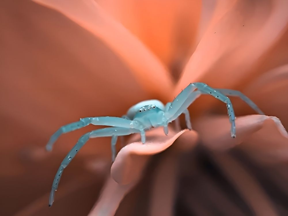 Photograph by Гурген Агаджанян