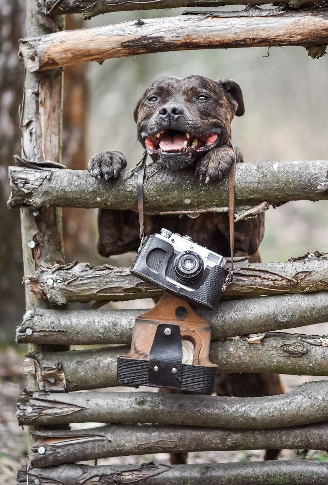 Photograph by Марина Суздаль