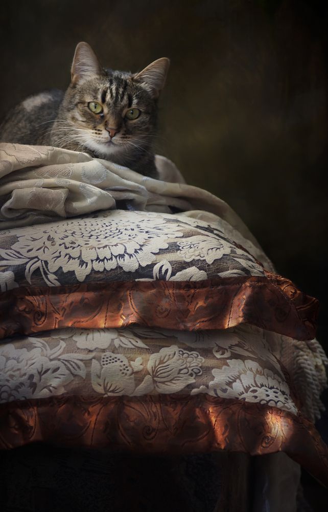 Принцесса на бобах