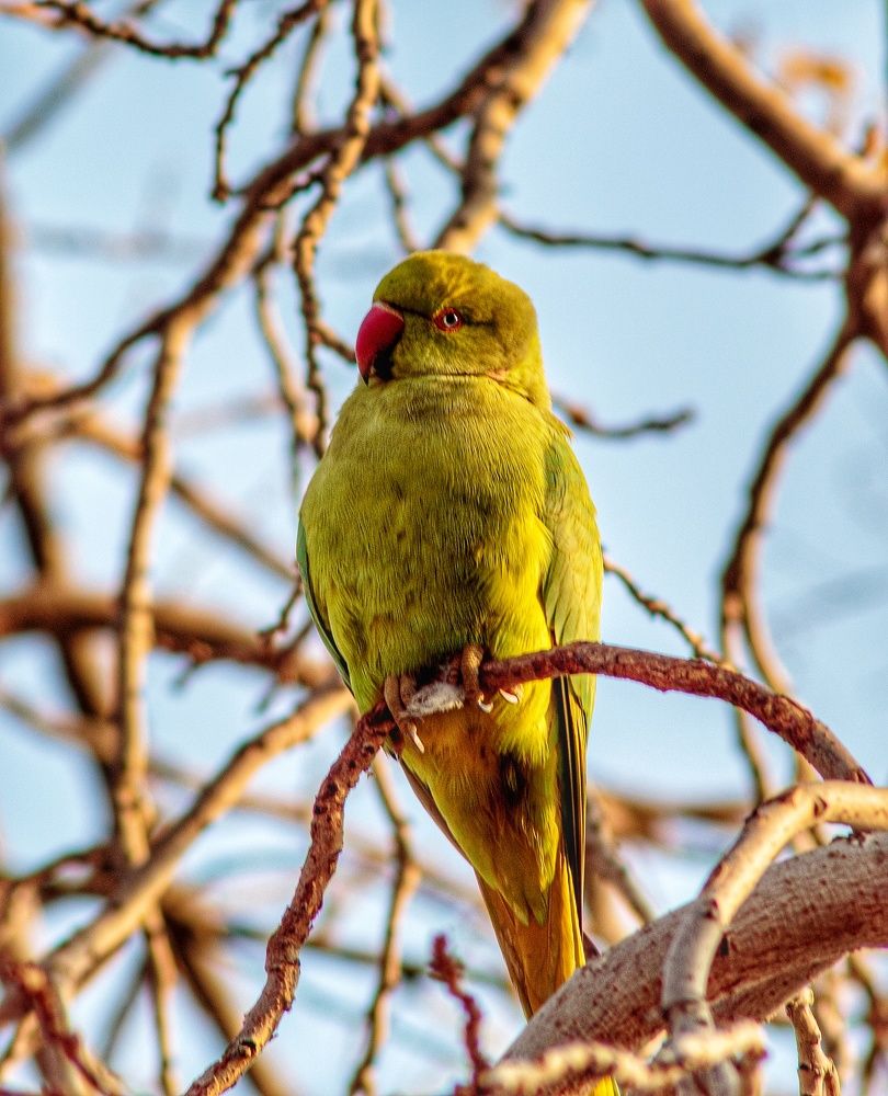 Photograph by Владимир Осипов