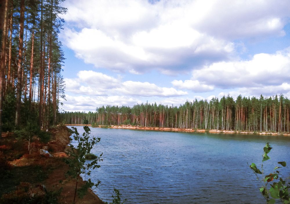 Photo #7528021