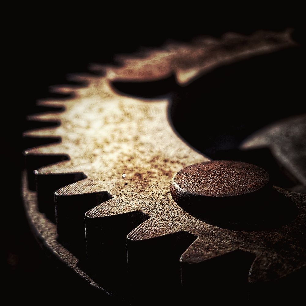 Photograph by Angelo Sab