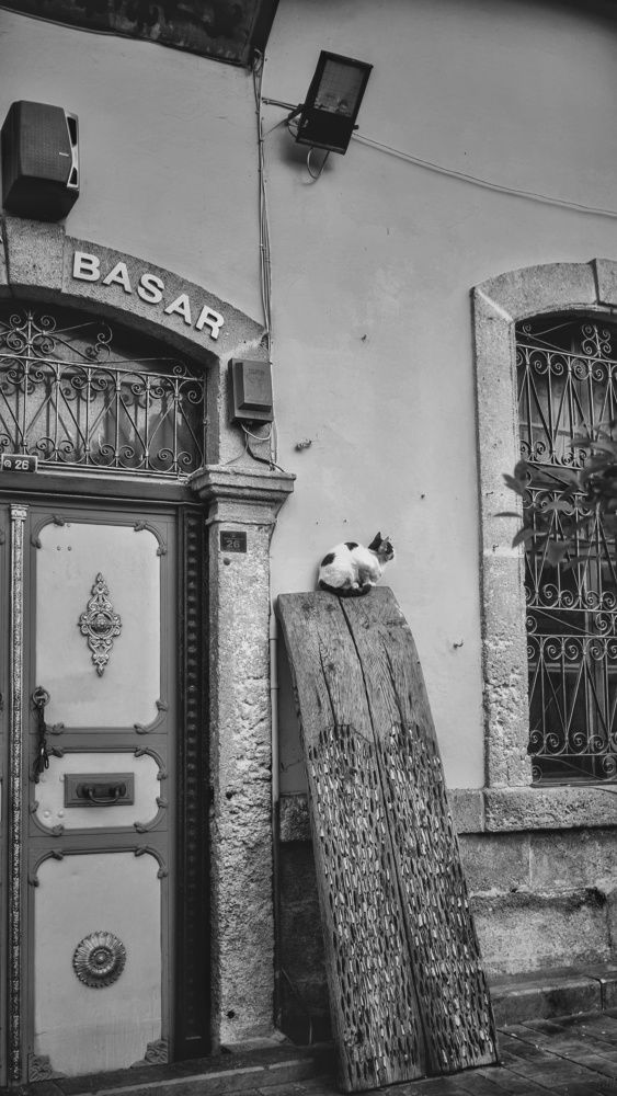 Photograph by Alp Aysgl