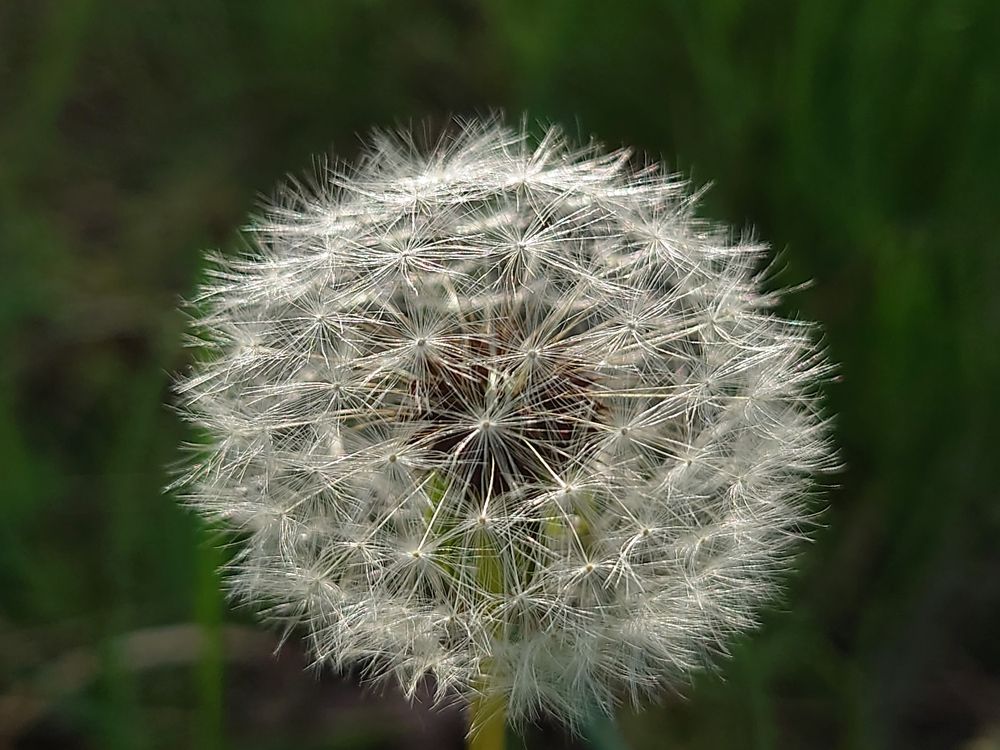 Photograph by Angelo Sab