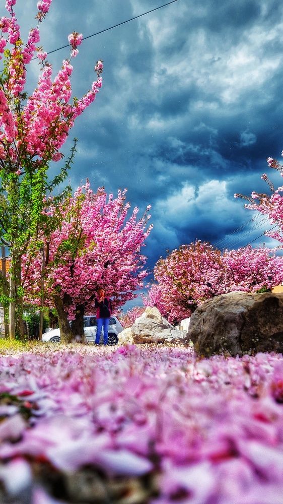 Фотография автора Kiss Gabor