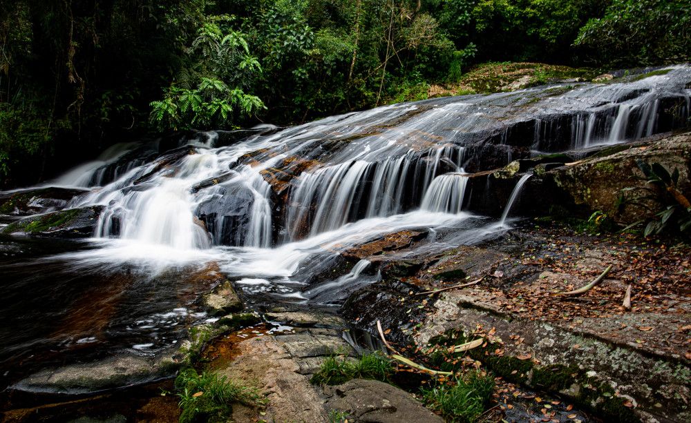 Photograph by Andres Carrasco