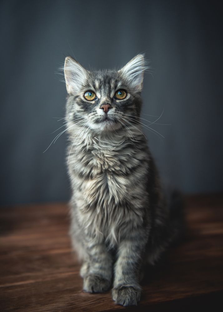 Photograph by Виктор Торба