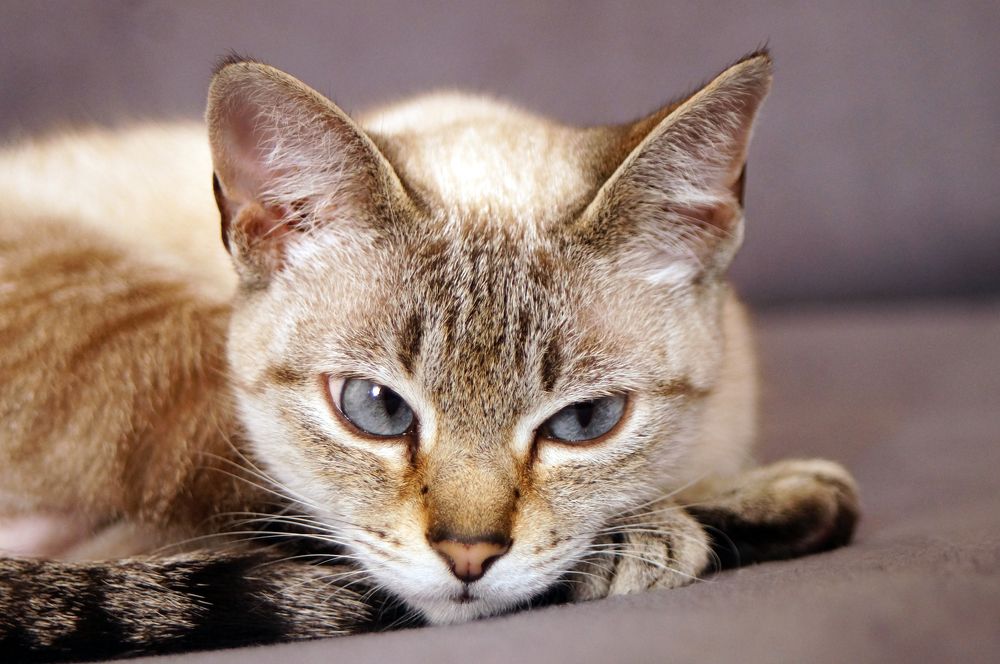 Photograph by Юля Хатыпова