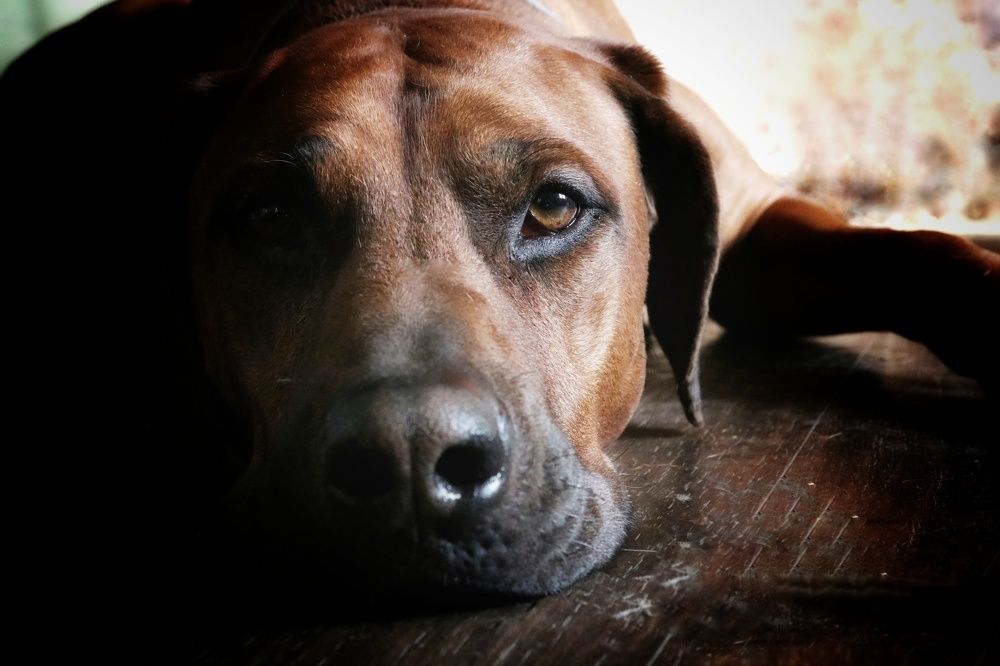 Photograph by Марина Савченко