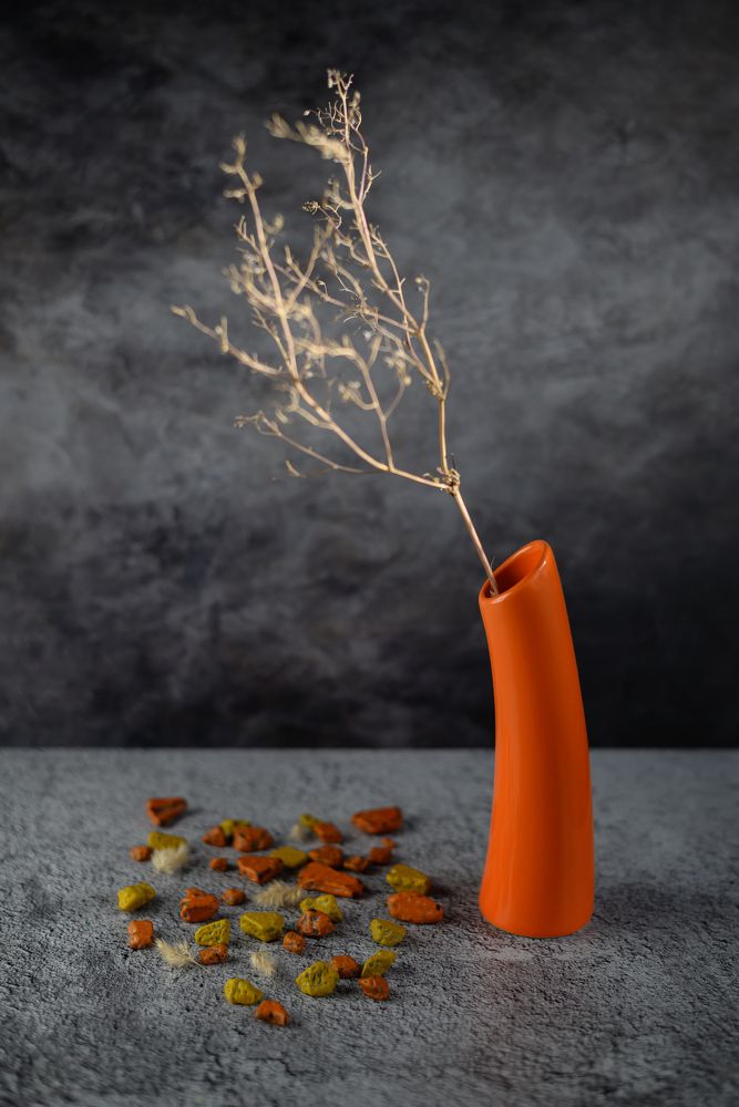 Веточка в туманной дымке