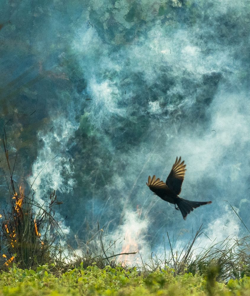 Photograph by Soumya ranjan swain