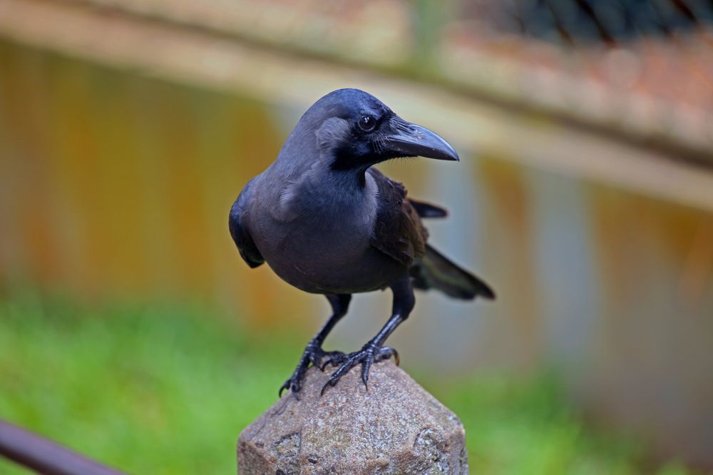 Photograph by Алексей Амилющенко