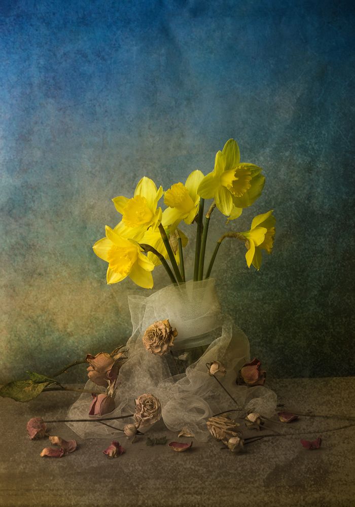 Photograph by Tatiana Kravchuk