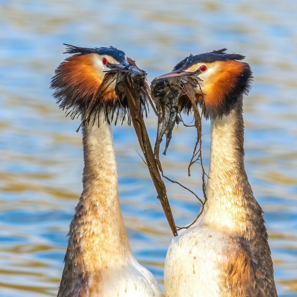 Photograph by Власов Егор