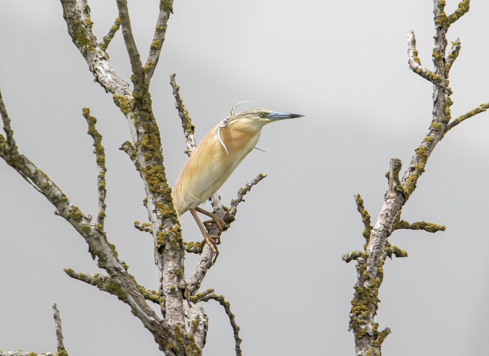 Photograph by Валентина Лопаткина