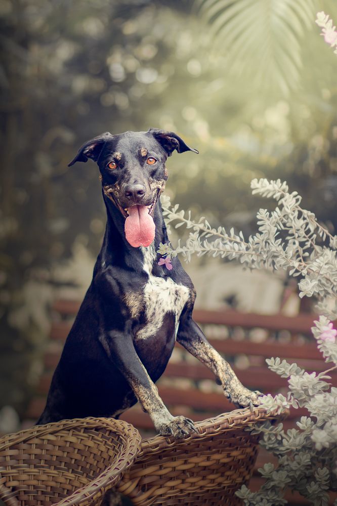 Photograph by Marcia Camargo