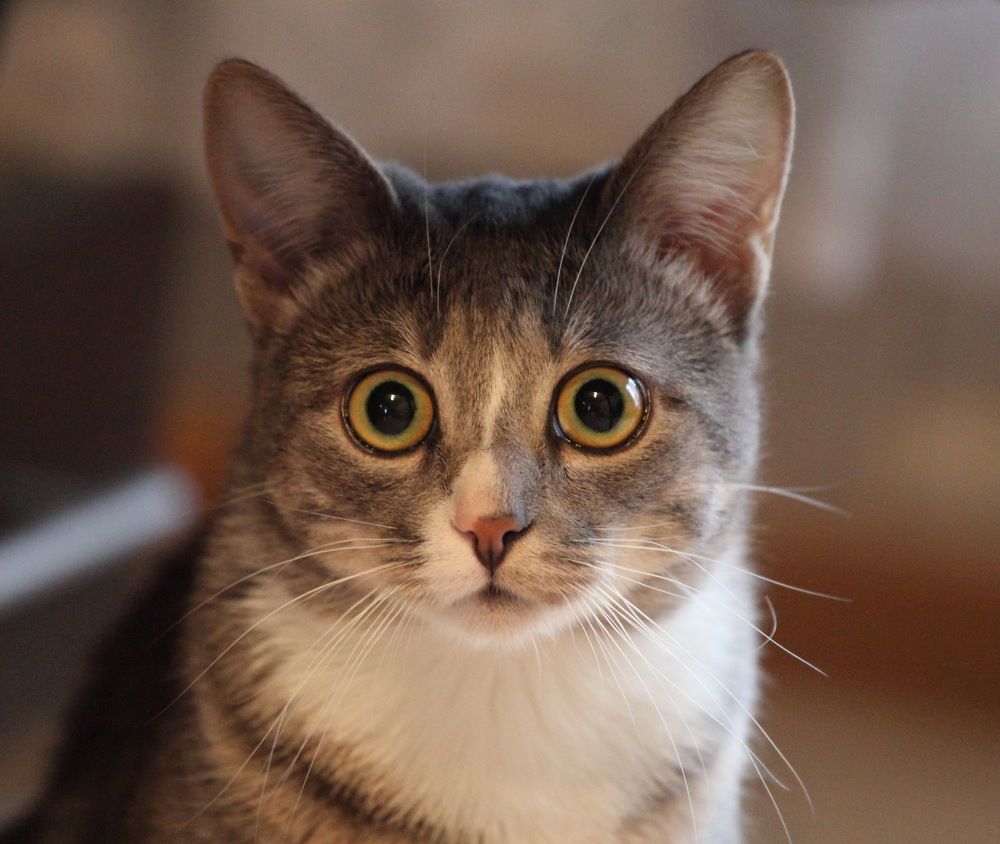 Photograph by Андрей Михайлин