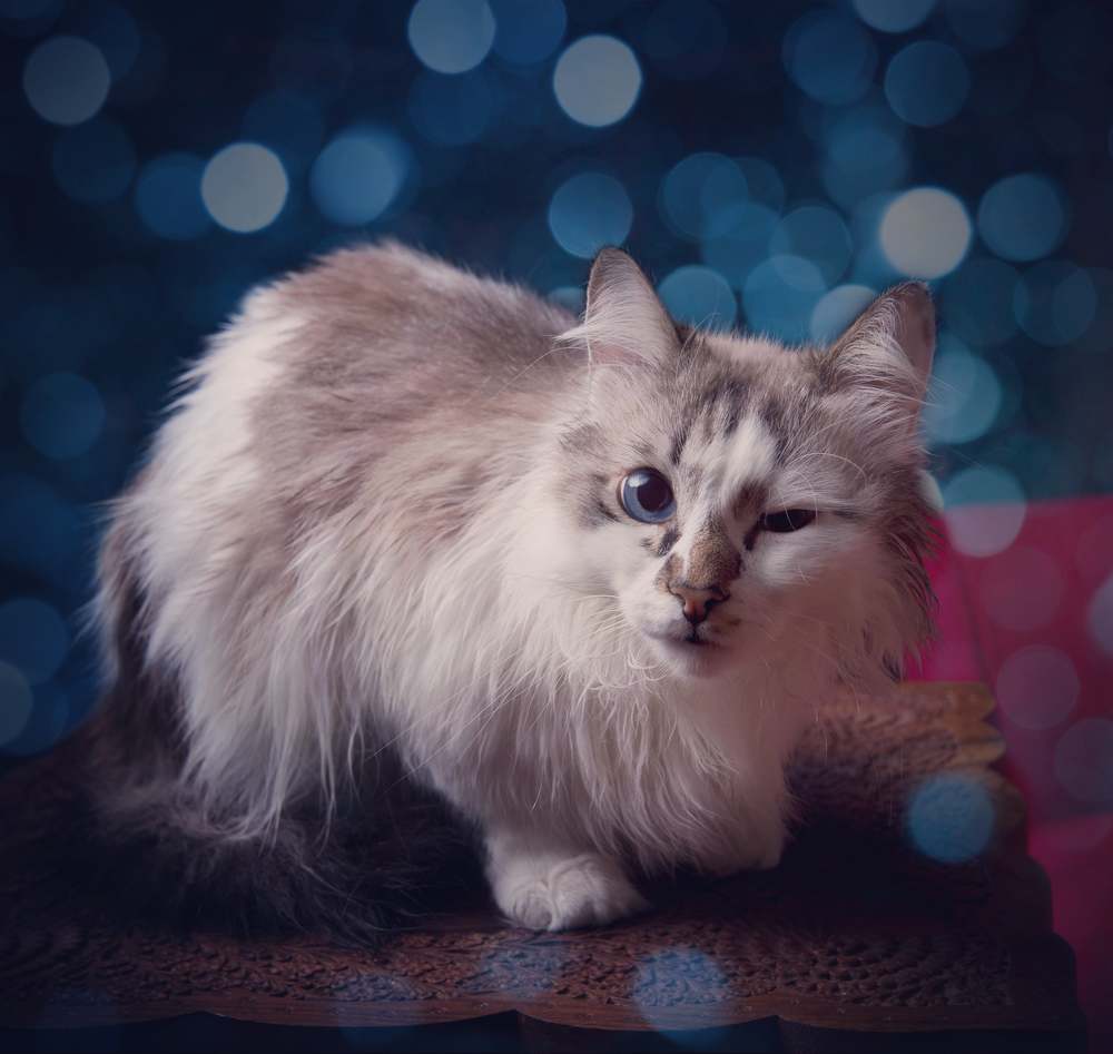 Photograph by Михаил Славный