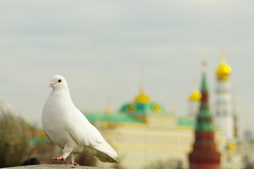 Photograph by Alexandr Bushmelev