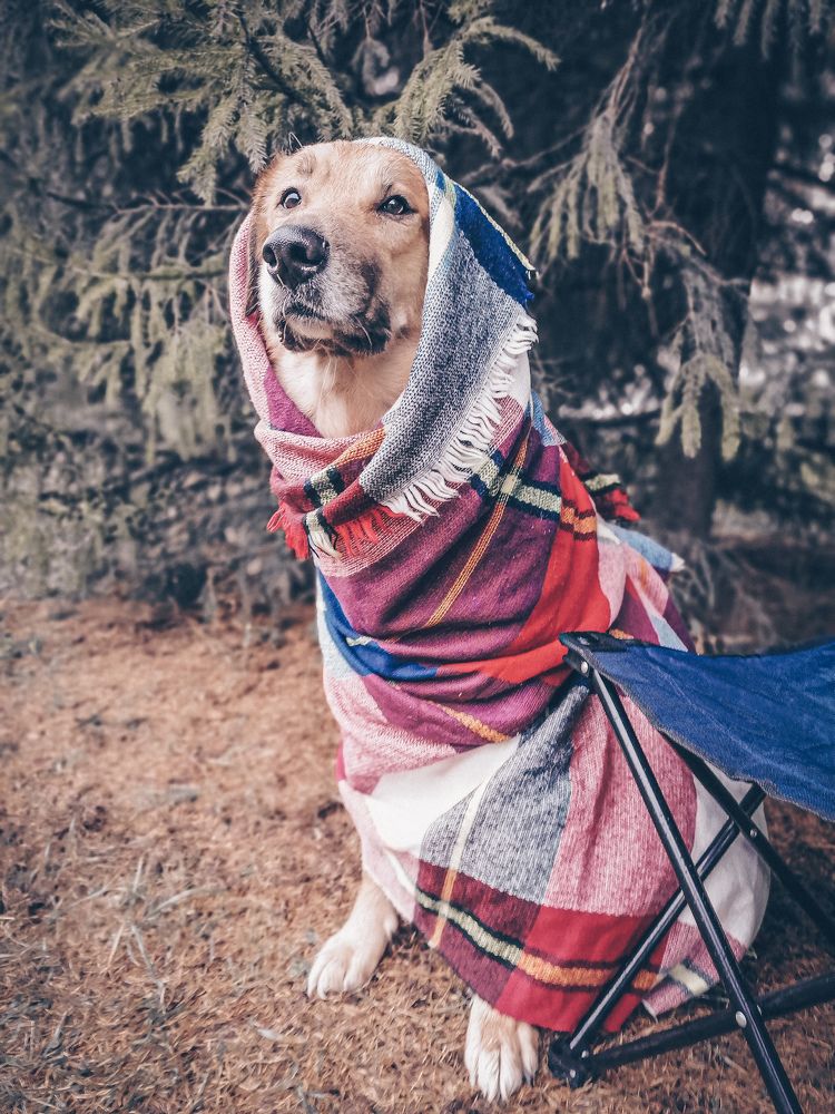 Давай быстрее фоткай, я замёрз!