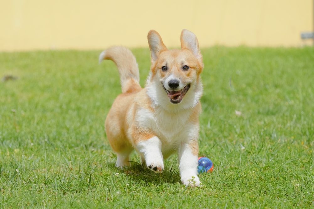 Фотография автора Jian Ma