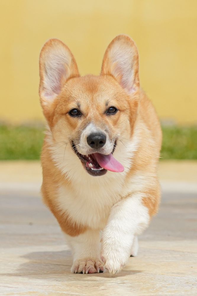 Фотография автора Jian Ma