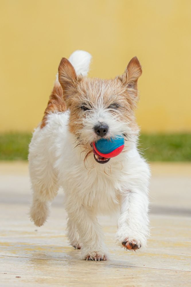 Фотография автора Jian Ma