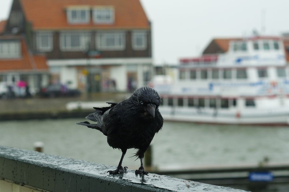 Photograph by Alexandr Bushmelev