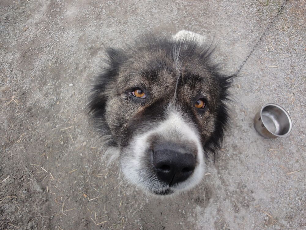 Photo #7528638