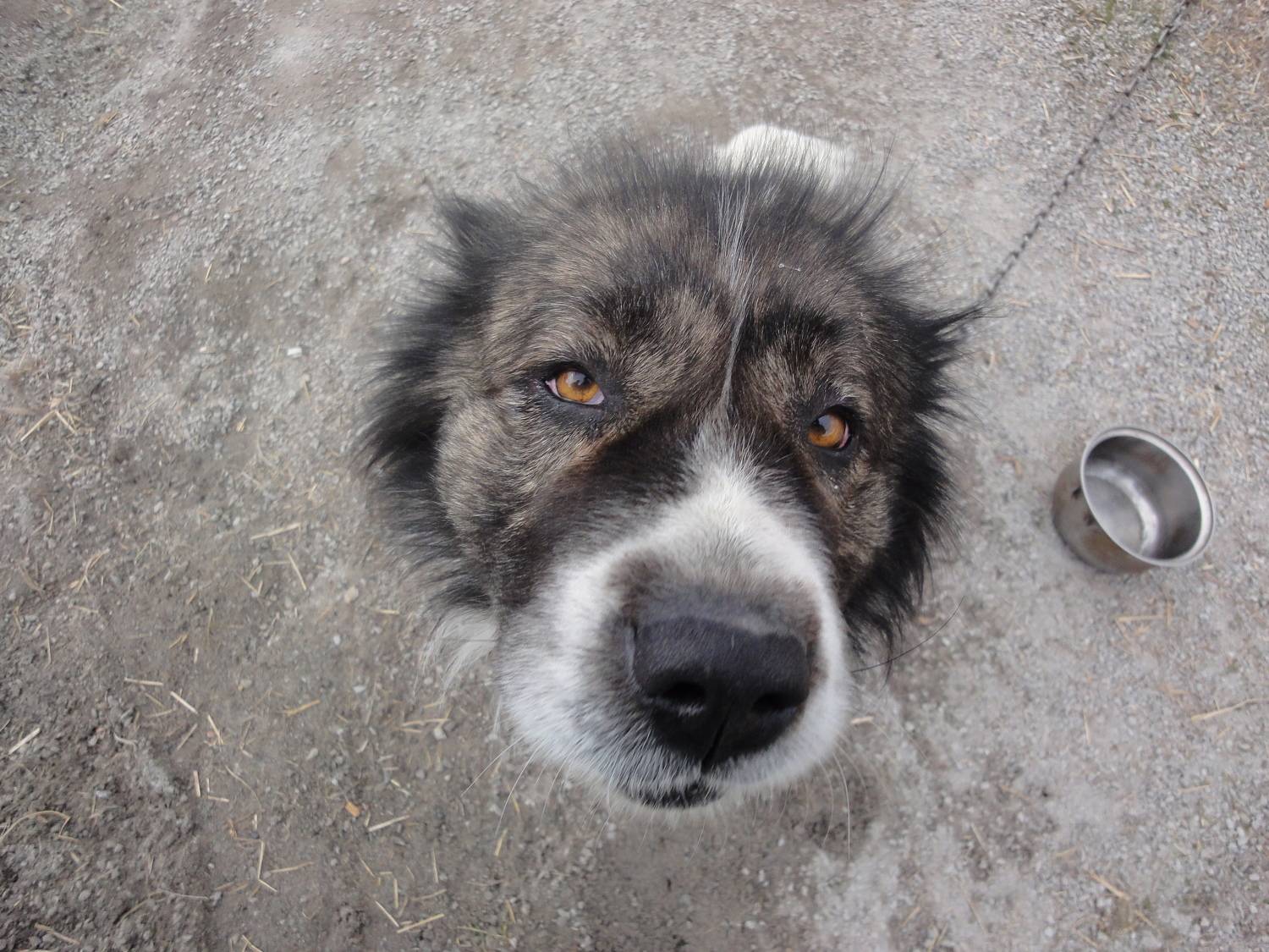 Photo #7528638
