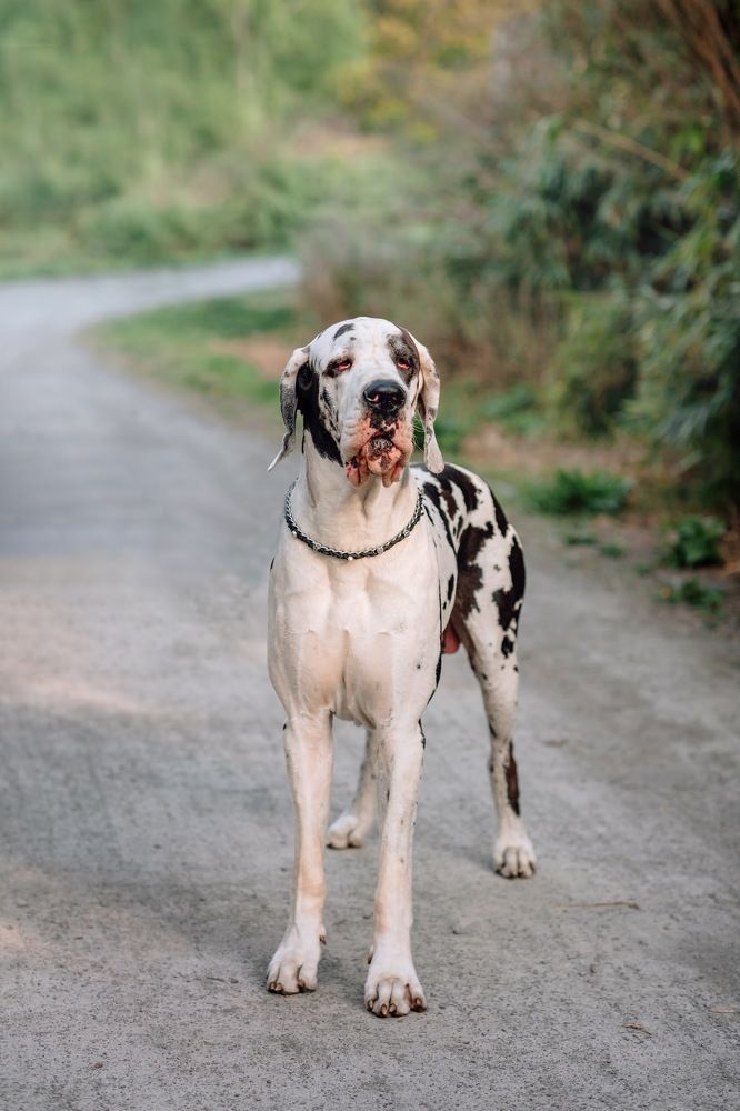 Photograph by Yana Morosov