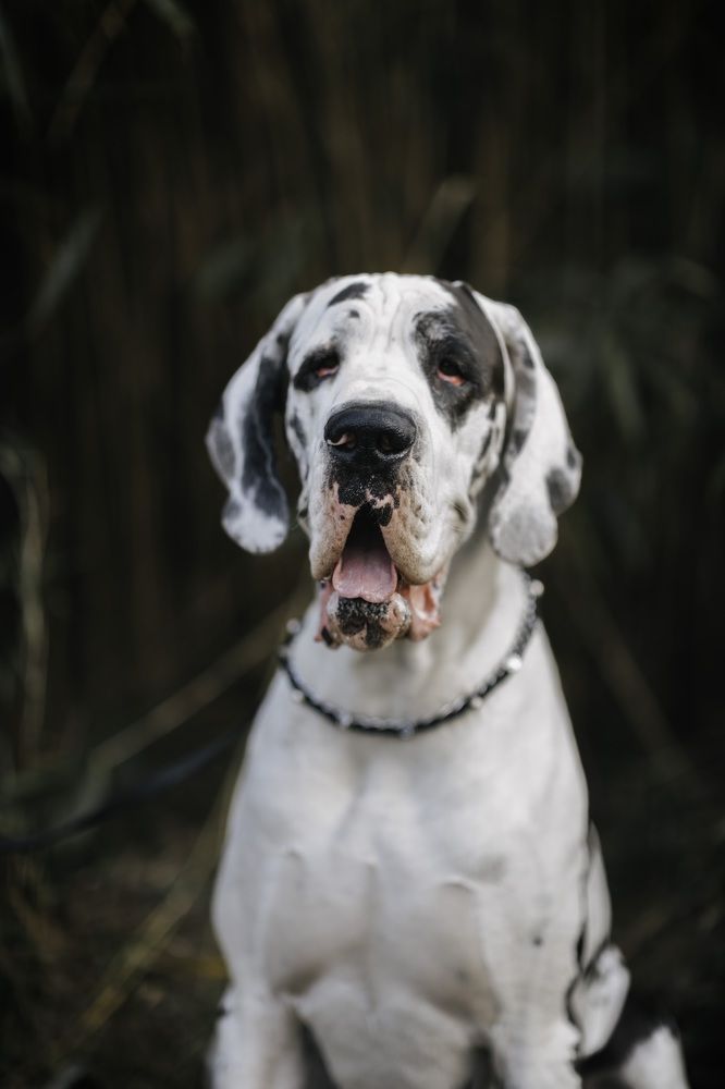 Photograph by Yana Morosov