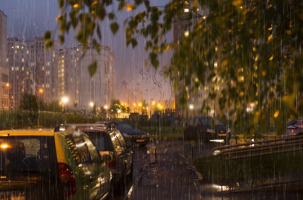 Photograph by Дмитрий Щеглов