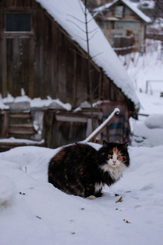 Photograph by Nora Cheprasova