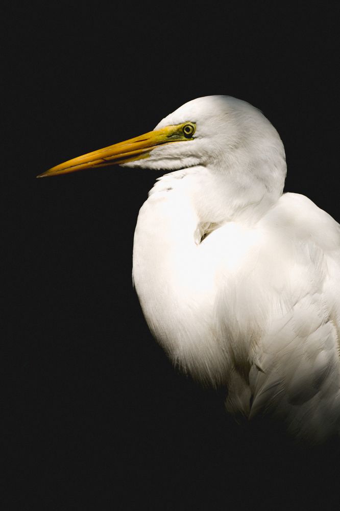 Фотография автора Kuramana Ashok Kumar