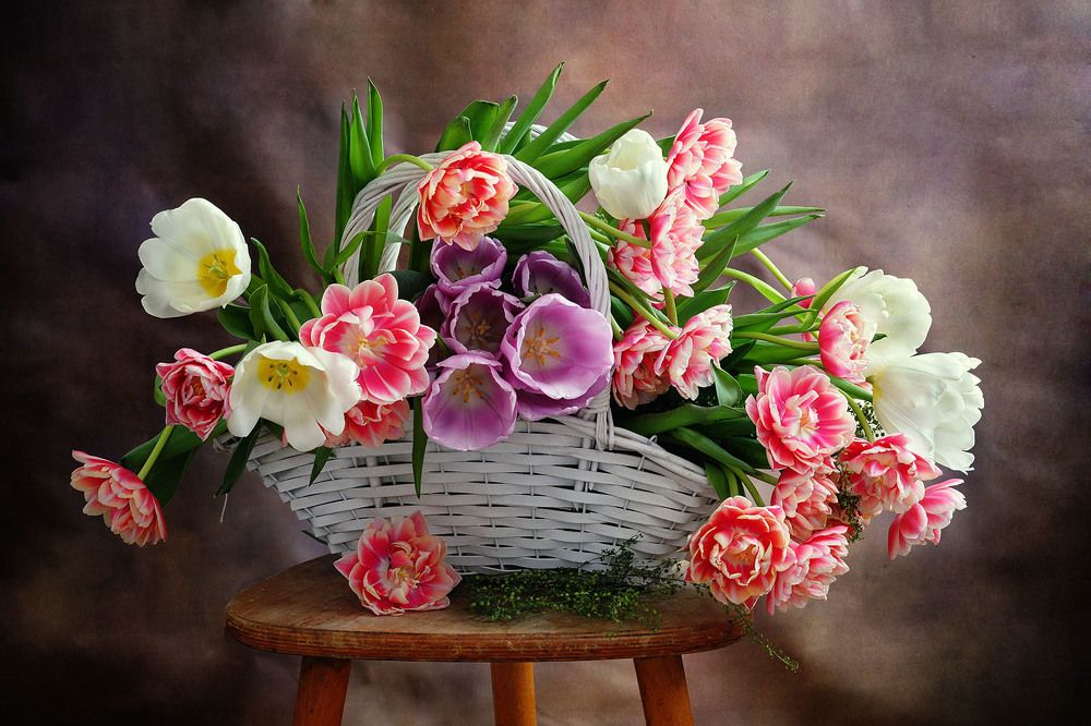 Photograph by Ирина Писанова